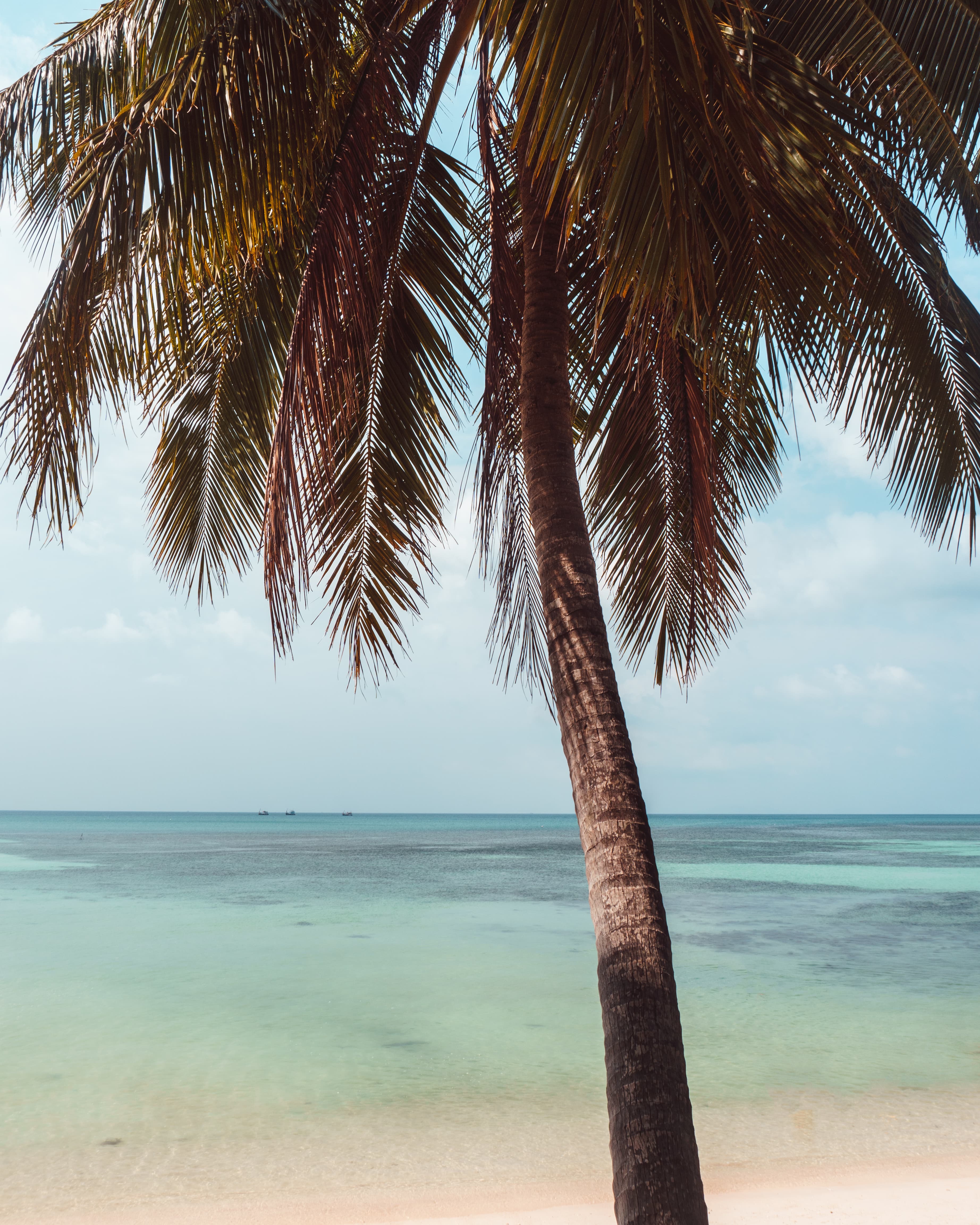 Koh Phangan, Thailand